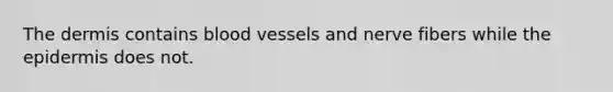 <a href='https://www.questionai.com/knowledge/kEsXbG6AwS-the-dermis' class='anchor-knowledge'>the dermis</a> contains blood vessels and nerve fibers while <a href='https://www.questionai.com/knowledge/kBFgQMpq6s-the-epidermis' class='anchor-knowledge'>the epidermis</a> does not.