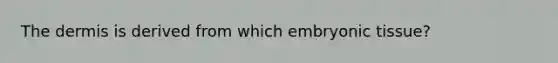 The dermis is derived from which embryonic tissue?