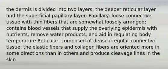 the dermis is divided into two layers; the deeper reticular layer and the superficial papillary layer: Papillary: loose connective tissue with thin fibers that are somewhat loosely arranged; contains blood vessels that supply the overlying epidermis with nutrients, remove water products, and aid in regulating body temperature Reticular: composed of dense irregular connective tissue; the elastic fibers and collagen fibers are oriented more in some directions than in others and produce cleavage lines in the skin