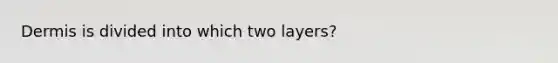 Dermis is divided into which two layers?