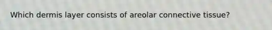 Which dermis layer consists of areolar connective tissue?