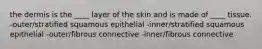 the dermis is the ____ layer of the skin and is made of ____ tissue. -outer/stratified squamous epithelial -inner/stratified squamous epithelial -outer/fibrous connective -inner/fibrous connective