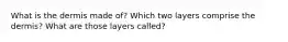 What is the dermis made of? Which two layers comprise the dermis? What are those layers called?