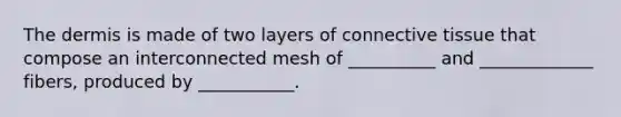 <a href='https://www.questionai.com/knowledge/kEsXbG6AwS-the-dermis' class='anchor-knowledge'>the dermis</a> is made of two layers of <a href='https://www.questionai.com/knowledge/kYDr0DHyc8-connective-tissue' class='anchor-knowledge'>connective tissue</a> that compose an interconnected mesh of __________ and _____________ fibers, produced by ___________.