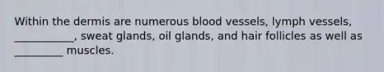 Within the dermis are numerous blood vessels, lymph vessels, ___________, sweat glands, oil glands, and hair follicles as well as _________ muscles.