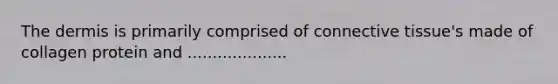 <a href='https://www.questionai.com/knowledge/kEsXbG6AwS-the-dermis' class='anchor-knowledge'>the dermis</a> is primarily comprised of <a href='https://www.questionai.com/knowledge/kYDr0DHyc8-connective-tissue' class='anchor-knowledge'>connective tissue</a>'s made of collagen protein and ....................