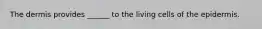 The dermis provides ______ to the living cells of the epidermis.