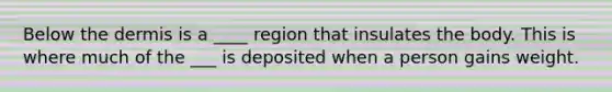 Below <a href='https://www.questionai.com/knowledge/kEsXbG6AwS-the-dermis' class='anchor-knowledge'>the dermis</a> is a ____ region that insulates the body. This is where much of the ___ is deposited when a person gains weight.