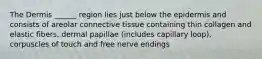 The Dermis ______ region lies just below the epidermis and consists of areolar connective tissue containing thin collagen and elastic fibers, dermal papillae (includes capillary loop), corpuscles of touch and free nerve endings