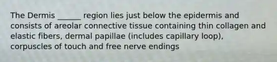 The Dermis ______ region lies just below the epidermis and consists of areolar connective tissue containing thin collagen and elastic fibers, dermal papillae (includes capillary loop), corpuscles of touch and free nerve endings