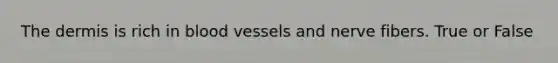 The dermis is rich in blood vessels and nerve fibers. True or False