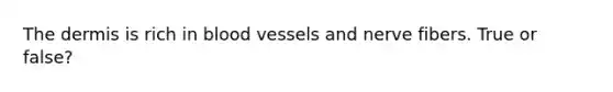 The dermis is rich in blood vessels and nerve fibers. True or false?