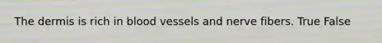 The dermis is rich in blood vessels and nerve fibers. True False