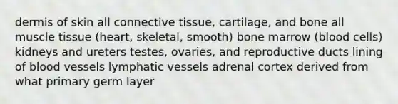 dermis of skin all connective tissue, cartilage, and bone all muscle tissue (heart, skeletal, smooth) bone marrow (blood cells) kidneys and ureters testes, ovaries, and reproductive ducts lining of blood vessels lymphatic vessels adrenal cortex derived from what primary germ layer