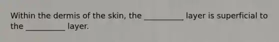 Within the dermis of the skin, the __________ layer is superficial to the __________ layer.