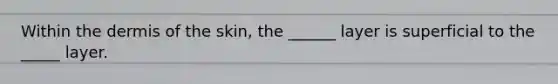 Within <a href='https://www.questionai.com/knowledge/kEsXbG6AwS-the-dermis' class='anchor-knowledge'>the dermis</a> of the skin, the ______ layer is superficial to the _____ layer.