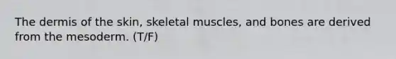 <a href='https://www.questionai.com/knowledge/kEsXbG6AwS-the-dermis' class='anchor-knowledge'>the dermis</a> of the skin, skeletal muscles, and bones are derived from the mesoderm. (T/F)