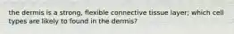 the dermis is a strong, flexible connective tissue layer; which cell types are likely to found in the dermis?