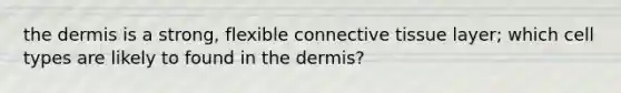 <a href='https://www.questionai.com/knowledge/kEsXbG6AwS-the-dermis' class='anchor-knowledge'>the dermis</a> is a strong, flexible <a href='https://www.questionai.com/knowledge/kYDr0DHyc8-connective-tissue' class='anchor-knowledge'>connective tissue</a> layer; which cell types are likely to found in the dermis?