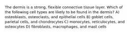 The dermis is a strong, flexible connective tissue layer. Which of the following cell types are likely to be found in the dermis? A) osteoblasts, osteoclasts, and epithelial cells B) goblet cells, parietal cells, and chondrocytes C) monocytes, reticulocytes, and osteocytes D) fibroblasts, macrophages, and mast cells