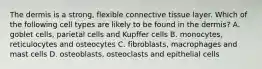 The dermis is a strong, flexible connective tissue layer. Which of the following cell types are likely to be found in the dermis? A. goblet cells, parietal cells and Kupffer cells B. monocytes, reticulocytes and osteocytes C. fibroblasts, macrophages and mast cells D. osteoblasts, osteoclasts and epithelial cells