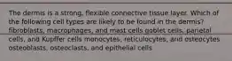 The dermis is a strong, flexible connective tissue layer. Which of the following cell types are likely to be found in the dermis? fibroblasts, macrophages, and mast cells goblet cells, parietal cells, and Kupffer cells monocytes, reticulocytes, and osteocytes osteoblasts, osteoclasts, and epithelial cells