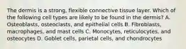 The dermis is a strong, flexible connective tissue layer. Which of the following cell types are likely to be found in the dermis? A. Osteoblasts, osteoclasts, and epithelial cells B. Fibroblasts, macrophages, and mast cells C. Monocytes, reticulocytes, and osteocytes D. Goblet cells, parietal cells, and chondrocytes