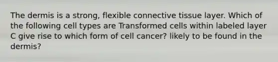 <a href='https://www.questionai.com/knowledge/kEsXbG6AwS-the-dermis' class='anchor-knowledge'>the dermis</a> is a strong, flexible <a href='https://www.questionai.com/knowledge/kYDr0DHyc8-connective-tissue' class='anchor-knowledge'>connective tissue</a> layer. Which of the following cell types are Transformed cells within labeled layer C give rise to which form of cell cancer? likely to be found in the dermis?