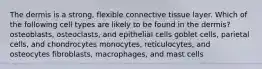 The dermis is a strong, flexible connective tissue layer. Which of the following cell types are likely to be found in the dermis? osteoblasts, osteoclasts, and epithelial cells goblet cells, parietal cells, and chondrocytes monocytes, reticulocytes, and osteocytes fibroblasts, macrophages, and mast cells