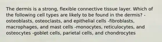 <a href='https://www.questionai.com/knowledge/kEsXbG6AwS-the-dermis' class='anchor-knowledge'>the dermis</a> is a strong, flexible <a href='https://www.questionai.com/knowledge/kYDr0DHyc8-connective-tissue' class='anchor-knowledge'>connective tissue</a> layer. Which of the following cell types are likely to be found in the dermis? -osteoblasts, osteoclasts, and epithelial cells -fibroblasts, macrophages, and mast cells -monocytes, reticulocytes, and osteocytes -goblet cells, parietal cells, and chondrocytes