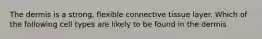 The dermis is a strong, flexible connective tissue layer. Which of the following cell types are likely to be found in the dermis