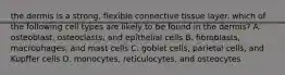 the dermis is a strong, flexible connective tissue layer. which of the following cell types are likely to be found in the dermis? A. osteoblast, osteoclasts, and epithelial cells B. fibroblasts, macrophages, and mast cells C. goblet cells, parietal cells, and Kupffer cells D. monocytes, reticulocytes, and osteocytes