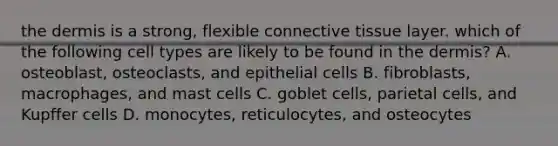 the dermis is a strong, flexible connective tissue layer. which of the following cell types are likely to be found in the dermis? A. osteoblast, osteoclasts, and epithelial cells B. fibroblasts, macrophages, and mast cells C. goblet cells, parietal cells, and Kupffer cells D. monocytes, reticulocytes, and osteocytes