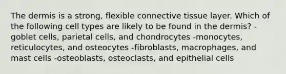 The dermis is a strong, flexible connective tissue layer. Which of the following cell types are likely to be found in the dermis? -goblet cells, parietal cells, and chondrocytes -monocytes, reticulocytes, and osteocytes -fibroblasts, macrophages, and mast cells -osteoblasts, osteoclasts, and epithelial cells