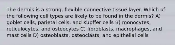 The dermis is a strong, flexible connective tissue layer. Which of the following cell types are likely to be found in the dermis? A) goblet cells, parietal cells, and Kupffer cells B) monocytes, reticulocytes, and osteocytes C) fibroblasts, macrophages, and mast cells D) osteoblasts, osteoclasts, and epithelial cells