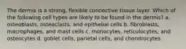 The dermis is a strong, flexible connective tissue layer. Which of the following cell types are likely to be found in the dermis? a. osteoblasts, osteoclasts, and epithelial cells b. fibroblasts, macrophages, and mast cells c. monocytes, reticulocytes, and osteocytes d. goblet cells, parietal cells, and chondrocytes