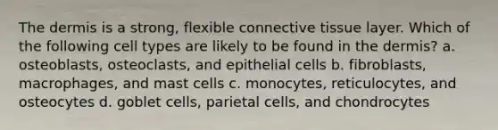 <a href='https://www.questionai.com/knowledge/kEsXbG6AwS-the-dermis' class='anchor-knowledge'>the dermis</a> is a strong, flexible <a href='https://www.questionai.com/knowledge/kYDr0DHyc8-connective-tissue' class='anchor-knowledge'>connective tissue</a> layer. Which of the following cell types are likely to be found in the dermis? a. osteoblasts, osteoclasts, and epithelial cells b. fibroblasts, macrophages, and mast cells c. monocytes, reticulocytes, and osteocytes d. goblet cells, parietal cells, and chondrocytes