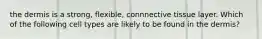 the dermis is a strong, flexible, connnective tissue layer. Which of the following cell types are likely to be found in the dermis?