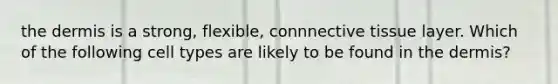 the dermis is a strong, flexible, connnective tissue layer. Which of the following cell types are likely to be found in the dermis?