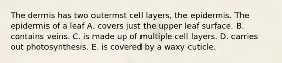 The dermis has two outermst cell layers, the epidermis. The epidermis of a leaf A. covers just the upper leaf surface. B. contains veins. C. is made up of multiple cell layers. D. carries out photosynthesis. E. is covered by a waxy cuticle.