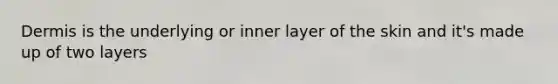 Dermis is the underlying or inner layer of the skin and it's made up of two layers