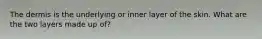 The dermis is the underlying or inner layer of the skin. What are the two layers made up of?