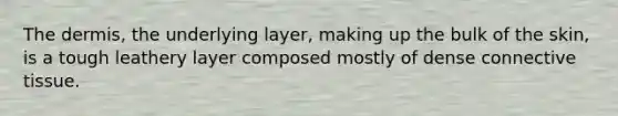 The dermis, the underlying layer, making up the bulk of the skin, is a tough leathery layer composed mostly of dense connective tissue.