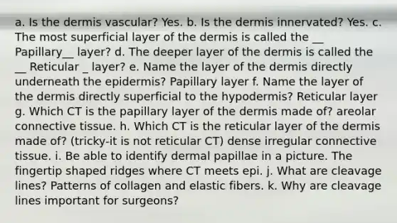 a. Is <a href='https://www.questionai.com/knowledge/kEsXbG6AwS-the-dermis' class='anchor-knowledge'>the dermis</a> vascular? Yes. b. Is the dermis innervated? Yes. c. The most superficial layer of the dermis is called the __ Papillary__ layer? d. The deeper layer of the dermis is called the __ Reticular _ layer? e. Name the layer of the dermis directly underneath <a href='https://www.questionai.com/knowledge/kBFgQMpq6s-the-epidermis' class='anchor-knowledge'>the epidermis</a>? Papillary layer f. Name the layer of the dermis directly superficial to the hypodermis? Reticular layer g. Which CT is the papillary layer of the dermis made of? areolar <a href='https://www.questionai.com/knowledge/kYDr0DHyc8-connective-tissue' class='anchor-knowledge'>connective tissue</a>. h. Which CT is the reticular layer of the dermis made of? (tricky-it is not reticular CT) dense irregular connective tissue. i. Be able to identify dermal papillae in a picture. The fingertip shaped ridges where CT meets epi. j. What are cleavage lines? Patterns of collagen and elastic fibers. k. Why are cleavage lines important for surgeons?