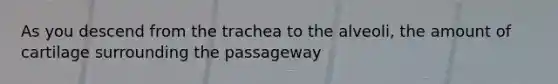 As you descend from the trachea to the alveoli, the amount of cartilage surrounding the passageway