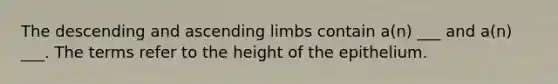 The descending and ascending limbs contain a(n) ___ and a(n) ___. The terms refer to the height of the epithelium.