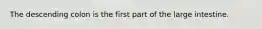 The descending colon is the first part of the large intestine.