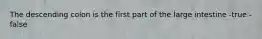 The descending colon is the first part of the large intestine -true -false