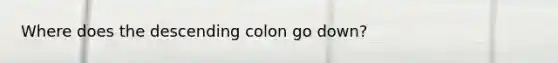 Where does the descending colon go down?