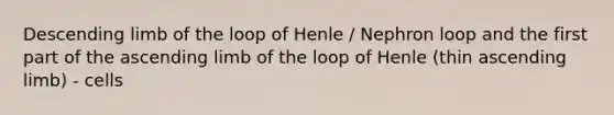 Descending limb of the loop of Henle / Nephron loop and the first part of the ascending limb of the loop of Henle (thin ascending limb) - cells